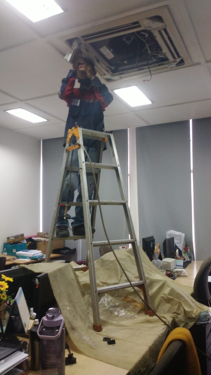 WhatsApp Image 2023-03-24 at 07.32.29